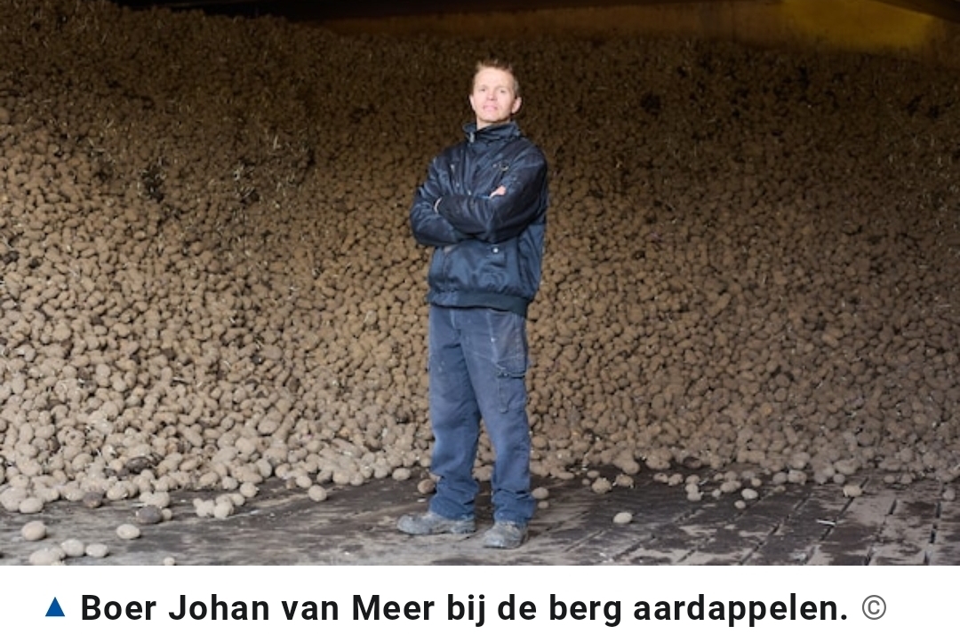 Boer Johan uit Hapert heeft tonnen aardappe­len over: ‘Zelfs gratis willen sommigen ze niet hebben’