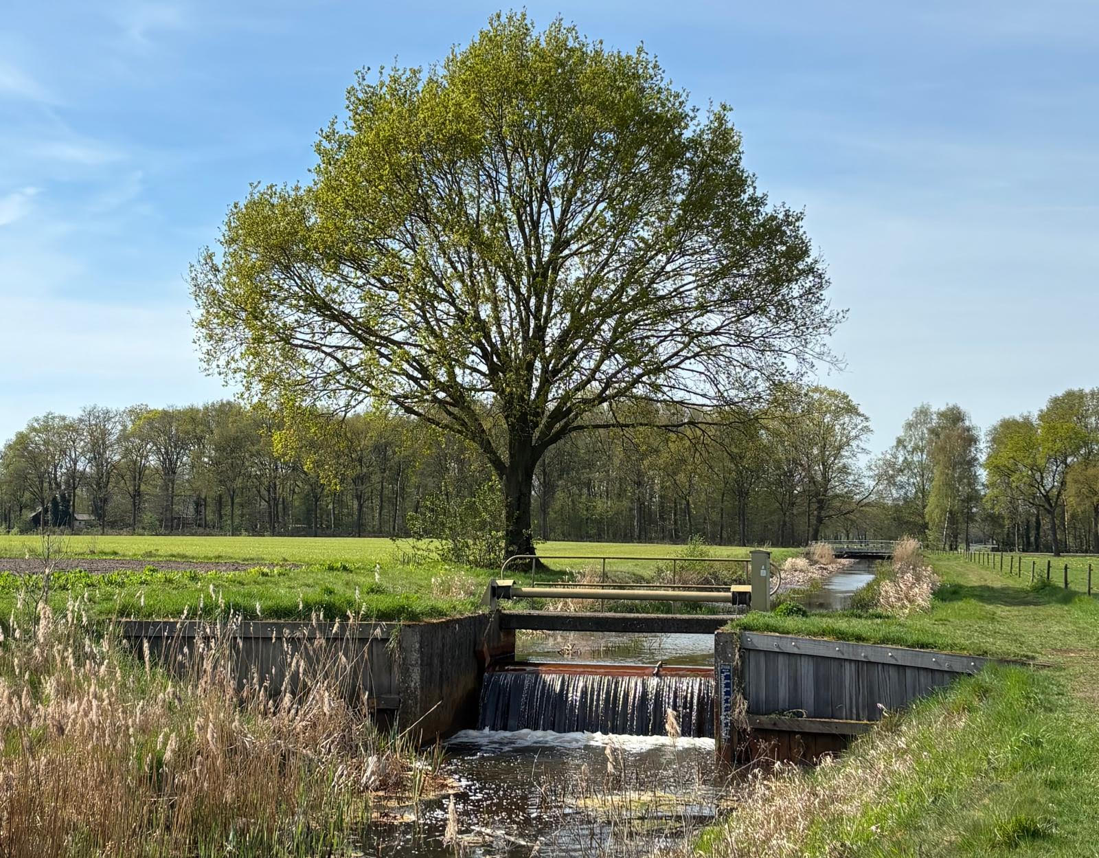 Wandelweek Hapert voor stichting CliniClowns start 6 juli