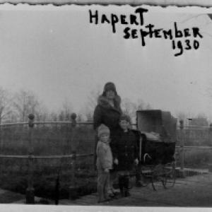 Hapert Online